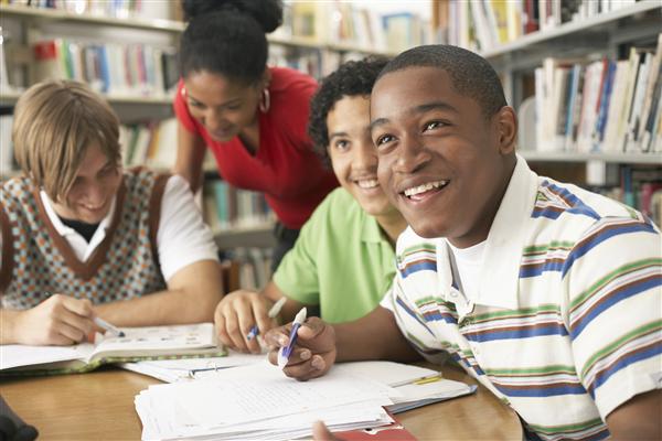 Homework helpline pinellas county