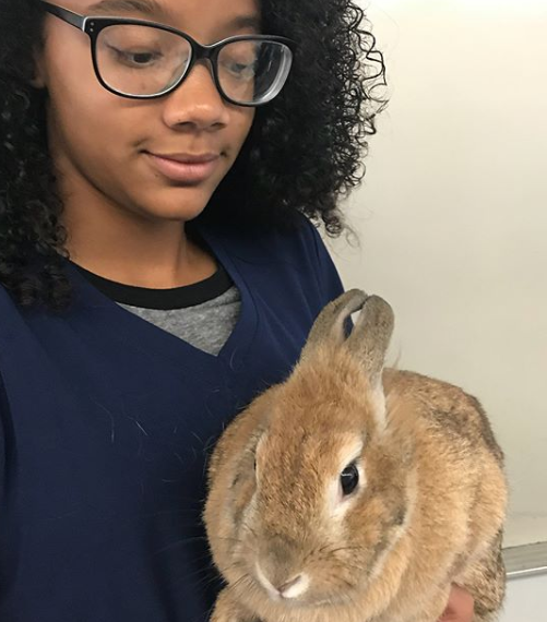 Veterinary Assisting / Program Overview