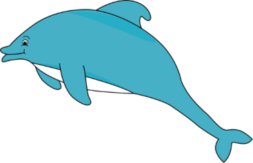 Dolphin