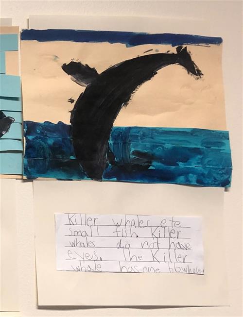Whales Whales