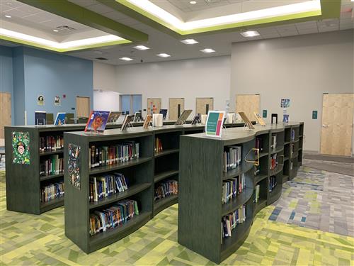 Library Shelves 