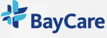  4 layered blue and teal lines - BayCare logo