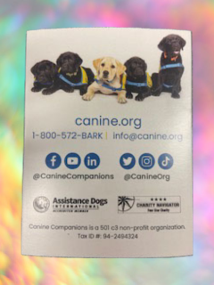 picture of dogs