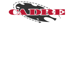  The Center for Appropriate Dispute Resolution in Special Education logo