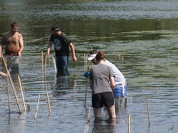 marine_science