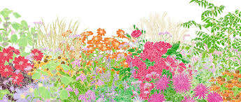  Flower garden