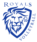 Volleyball Logo