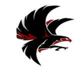Falcon 