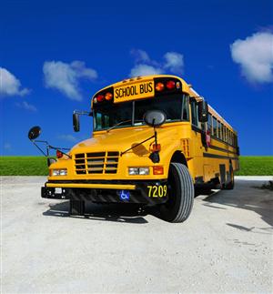 Transportation Transportation
