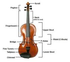 Violin