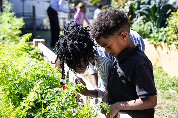  Grow with our Fairmount Park Elementary Family