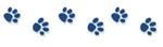 paws paws