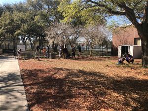 students working in the garden 