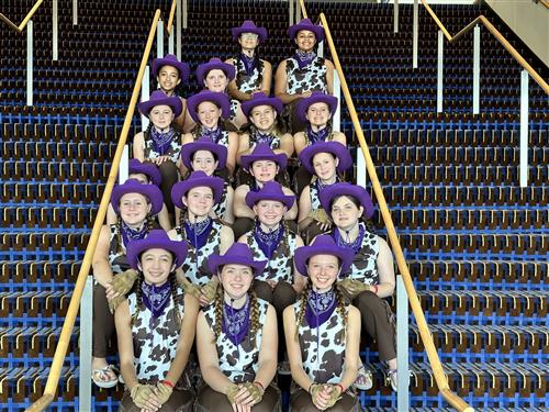 Seminole MS Color Guard