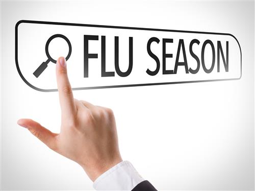 Flu Season 