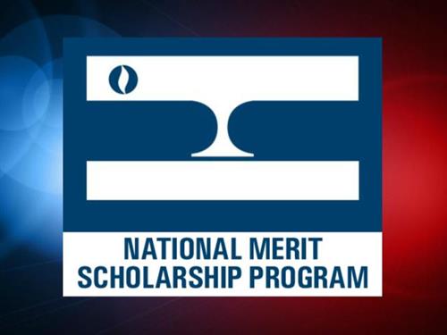 meritscholar 
