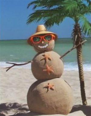 Holiday Challenge Snowman Holiday Challenge Snowman