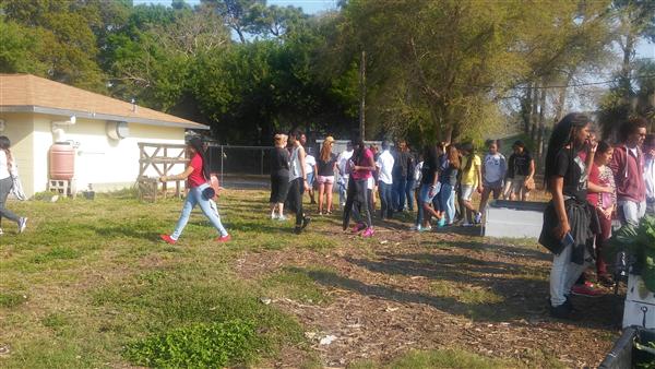 Touring Maximo's Edible Peace Patch