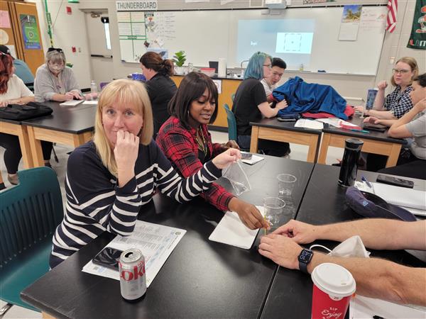 MS Science DWT 4
