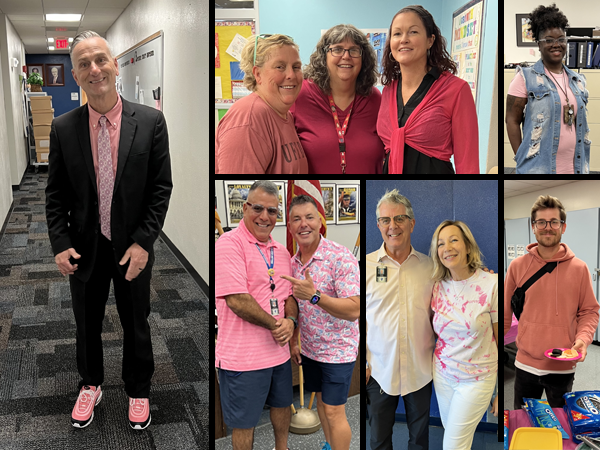 Hollins High goes pink for cancer awareness month.
