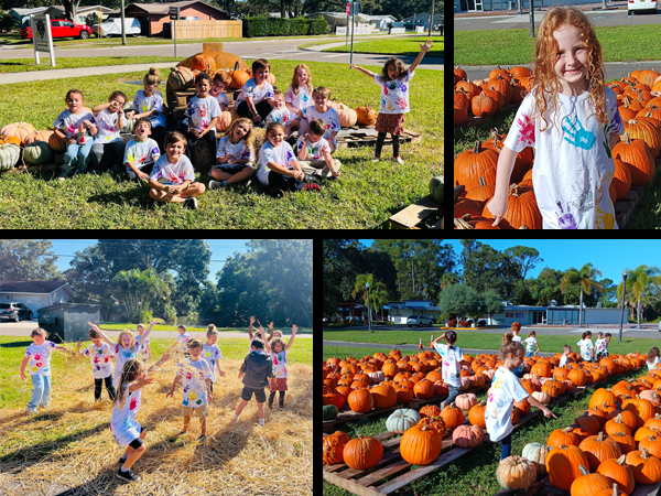 San Jose Elementary Kindergarten students had a wonderful experience visiting the pumpkin patch where they learned about gourds. They listened to a story, picked pumpkins, built classroom relationships and had a picnic. Students will use the pumpkins in the following weeks for math and science lesso