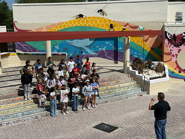 Perkins Elementary Tiger Band entertained the school when they played at the Amphitheater.